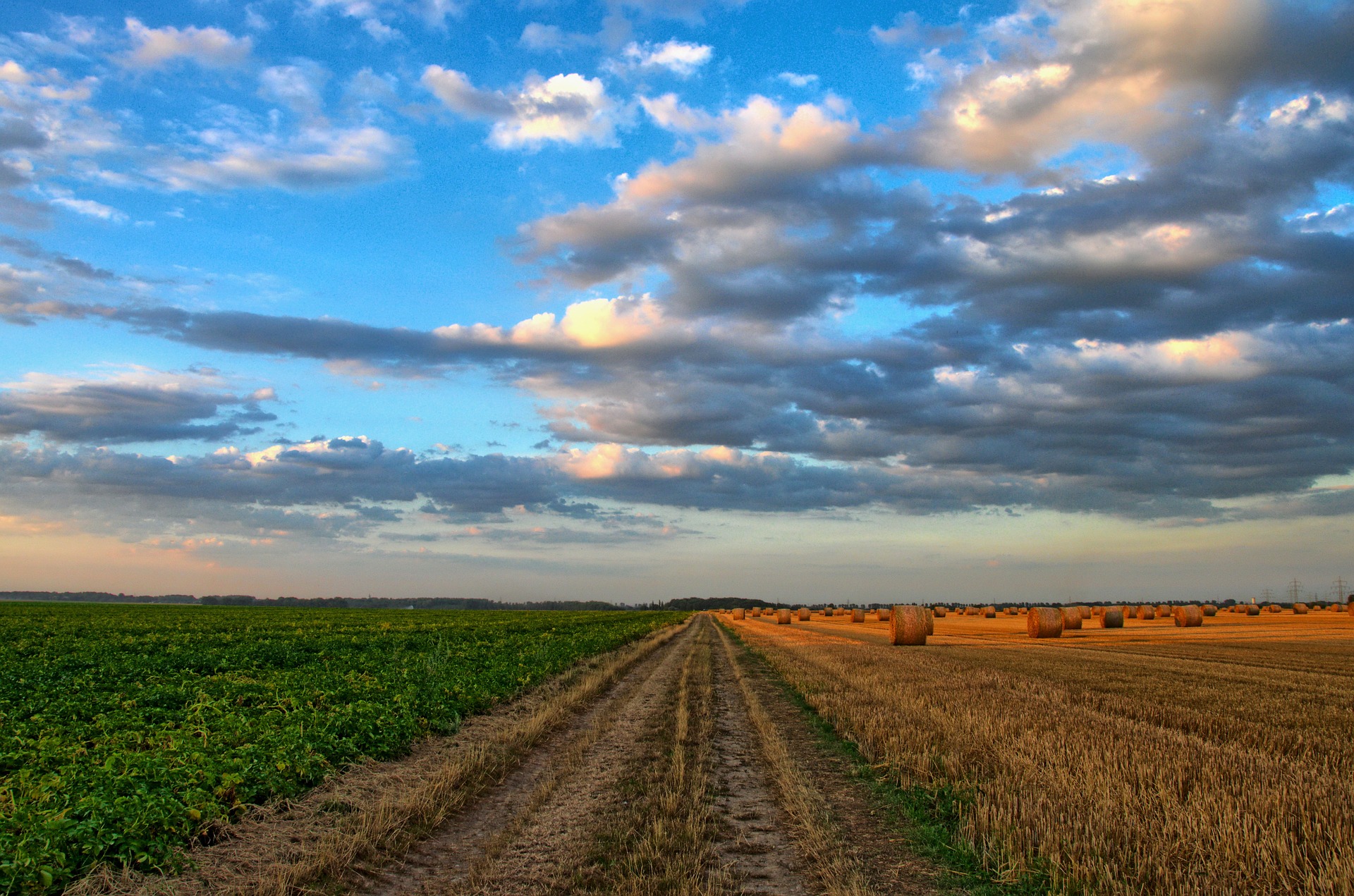 20180327 Landwirtschaft und Energie